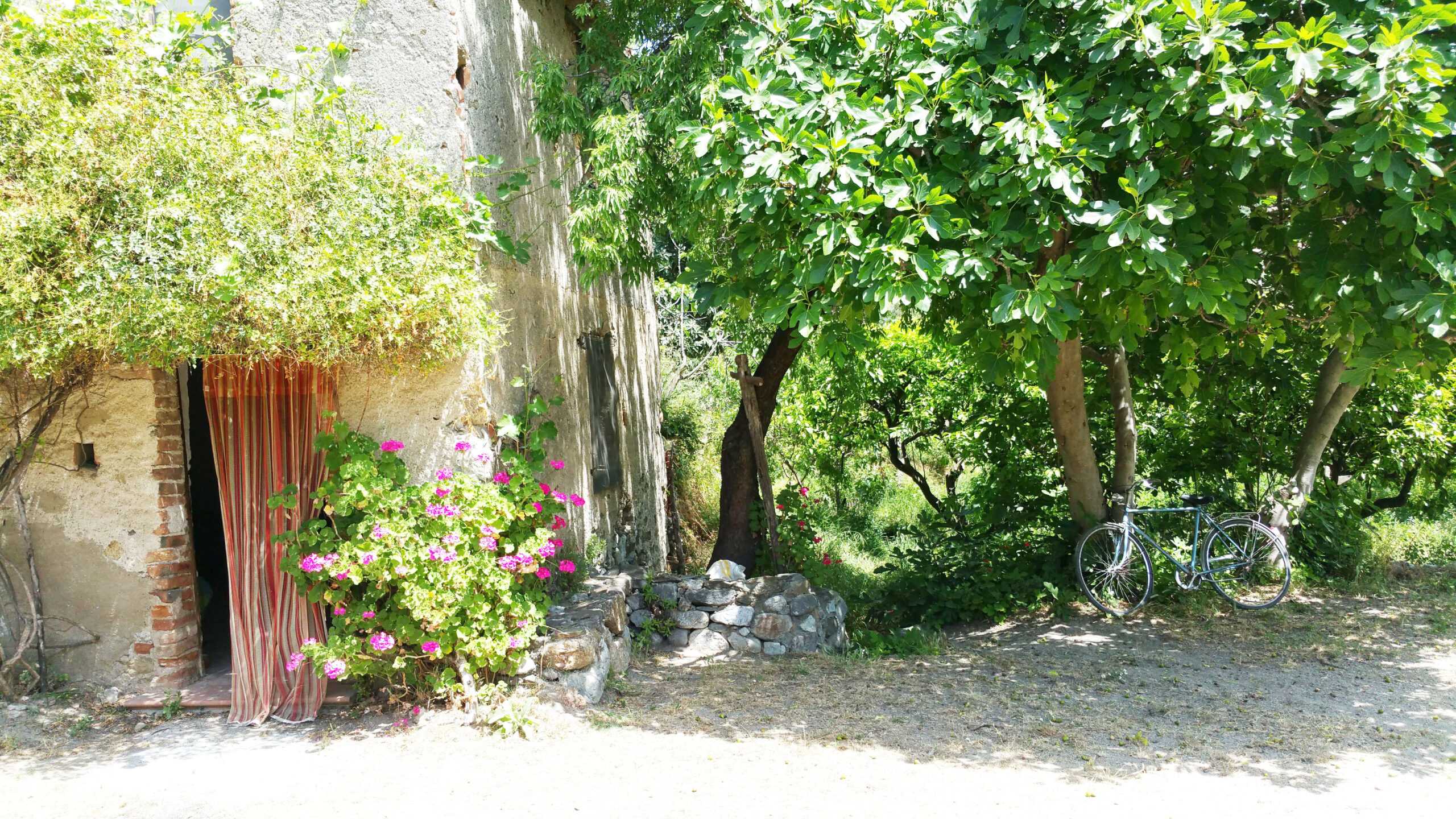 Agriturismo-il-bergamotto